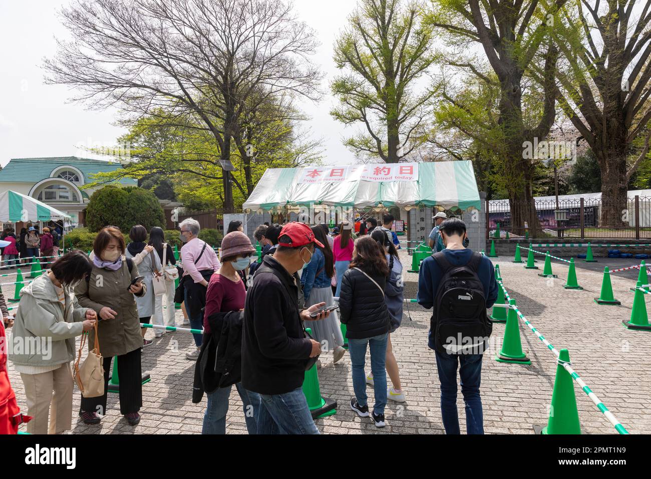 Tokyo Japon 2023 saison de sakura en fleur joyeuse dans le parc Shinjuku populaire auprès des habitants et des touristes, Japon, Asie Banque D'Images