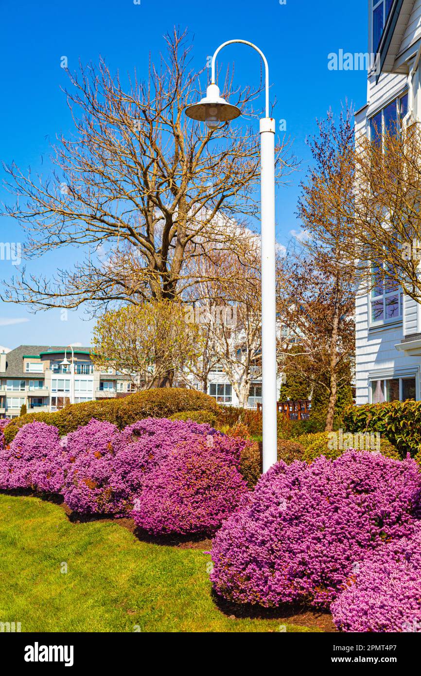 Un aménagement paysager impeccable dans une maison de ville à Steveston Colombie-Britannique Canada Banque D'Images