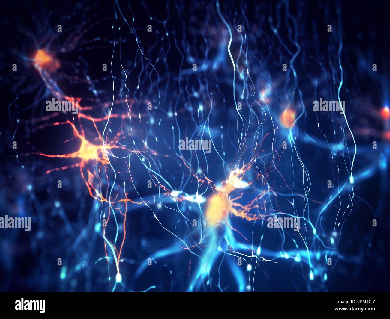 Neurones pyramidaux, illustration Banque D'Images