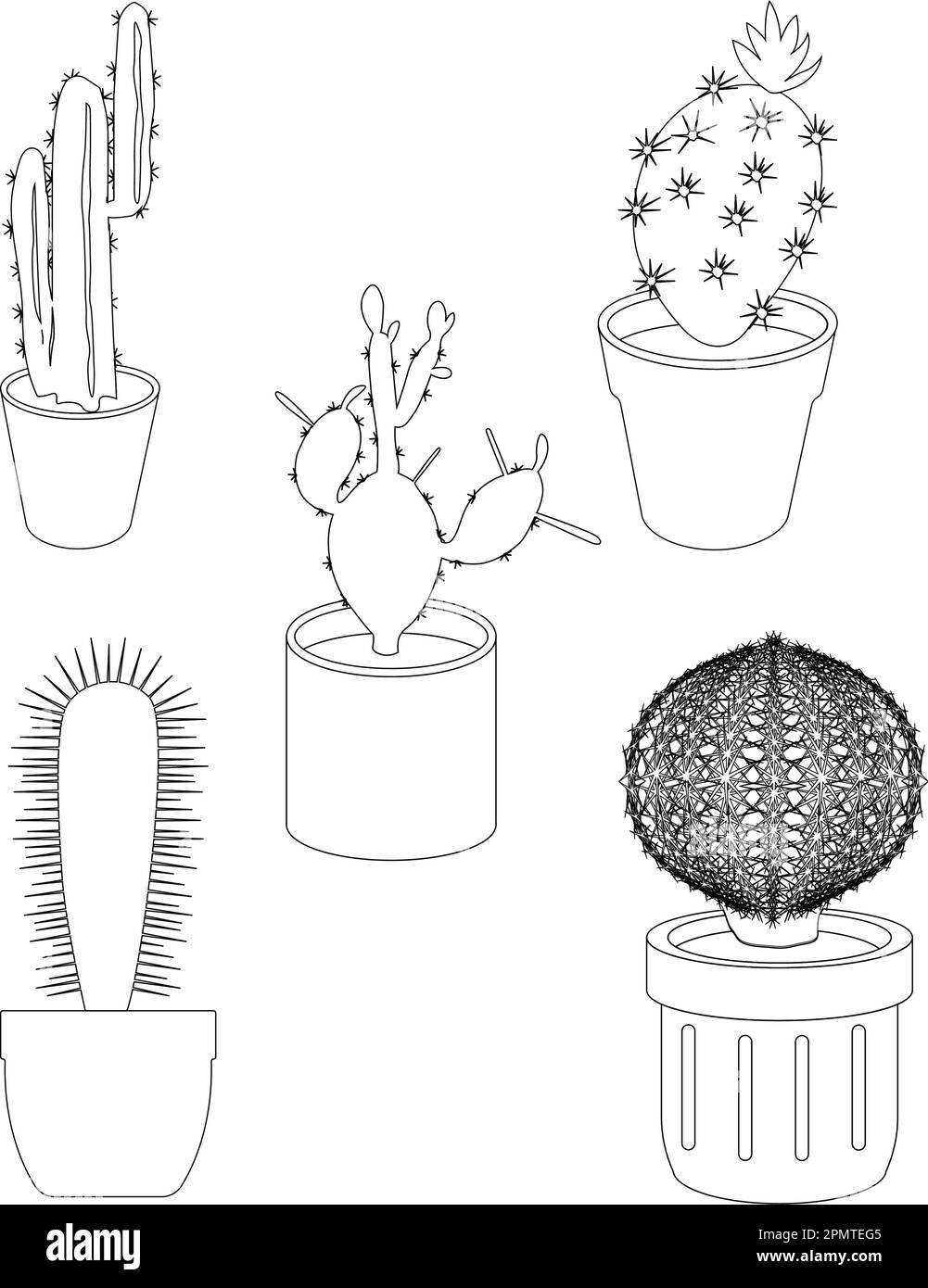 cactus houseplant icône vecteur illustration conception Illustration de Vecteur cactus houseplant icône vecteur illustration conception Illustration de Vecteur