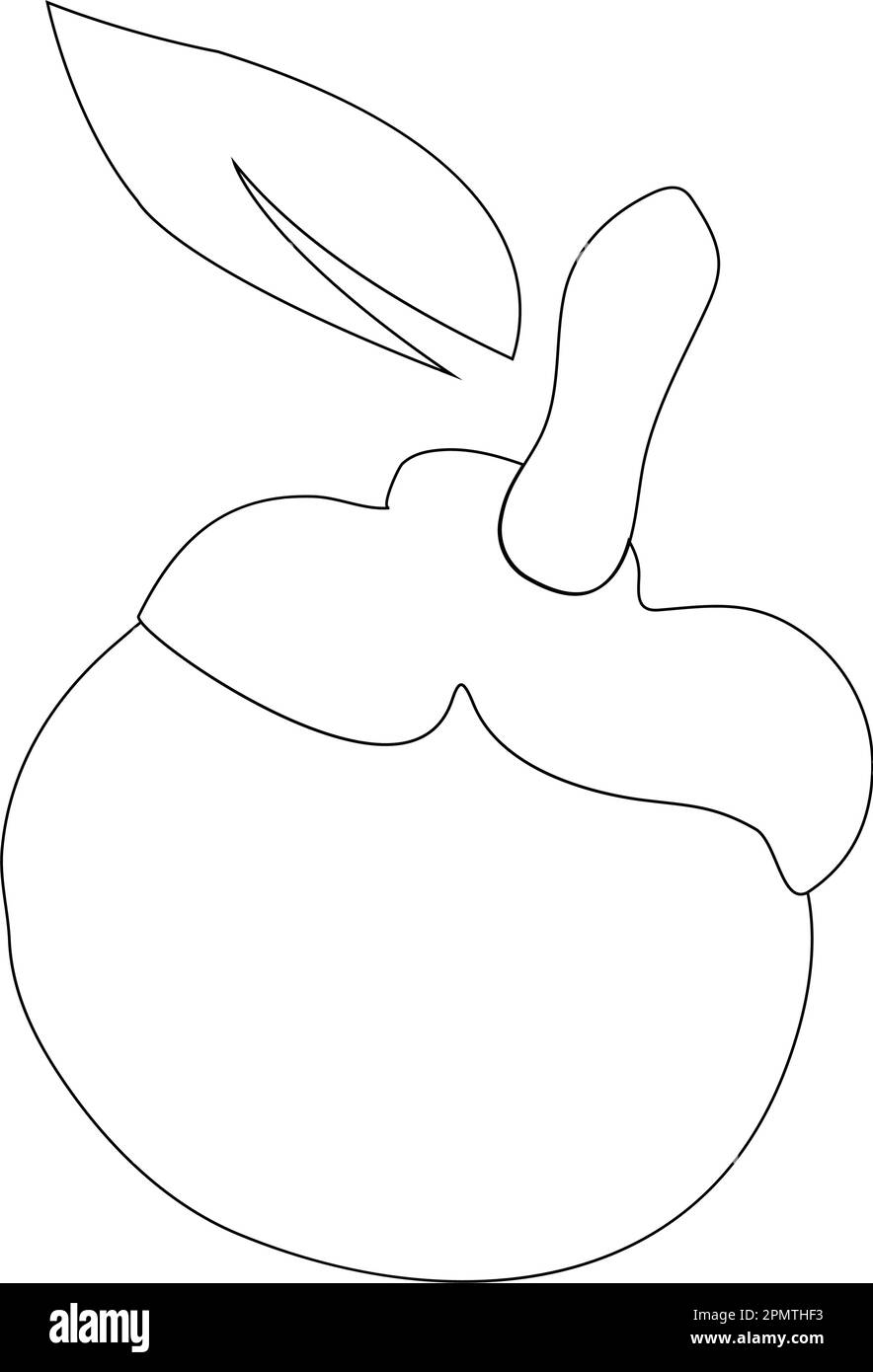 illustration vectorielle d'icône mangosteen Illustration de Vecteur