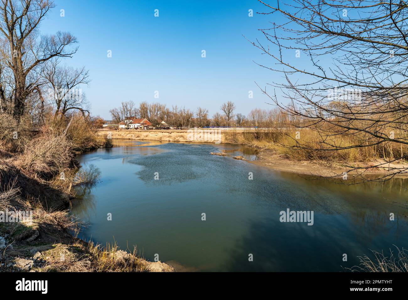 Rivière Odra près de Polanka nad Odrou en République tchèque au début de la journée d'été avec un ciel clair Banque D'Images