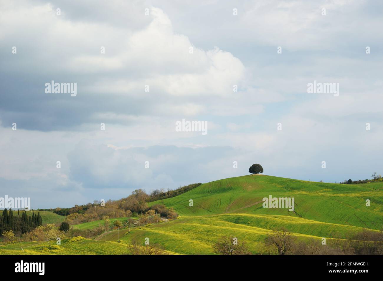 Toscane, Italie, paysage de Vergelle, Montalcino, Italie Banque D'Images