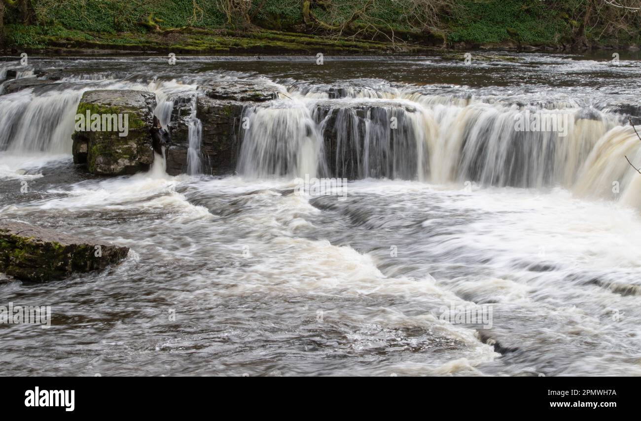 rapides à Aysgarth tombe dans les Yorkshire Dales Banque D'Images