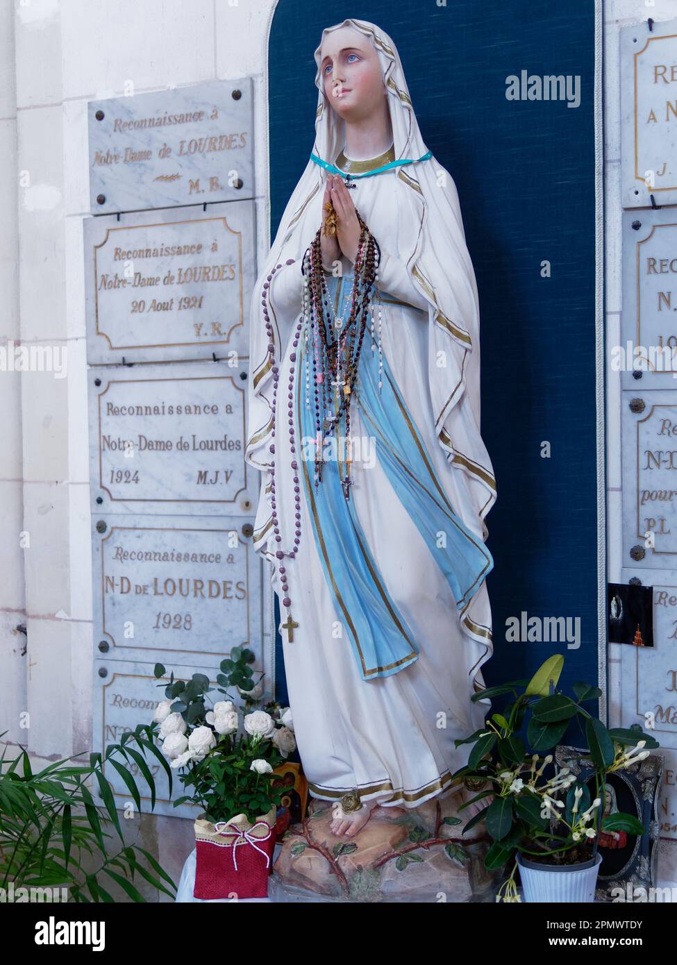 APPAREIL PHOTO NUMÉRIQUE OLYMPUS Banque D'Images