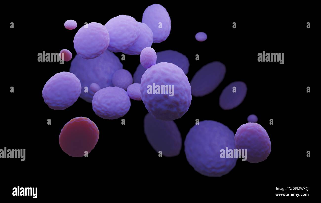 Cellules de levure de Candida auris, 3D illustration. Les champignons peuvent pénétrer dans le sang et provoquer une infection invasive grave. Graphique d'arrière-plan noir Banque D'Images