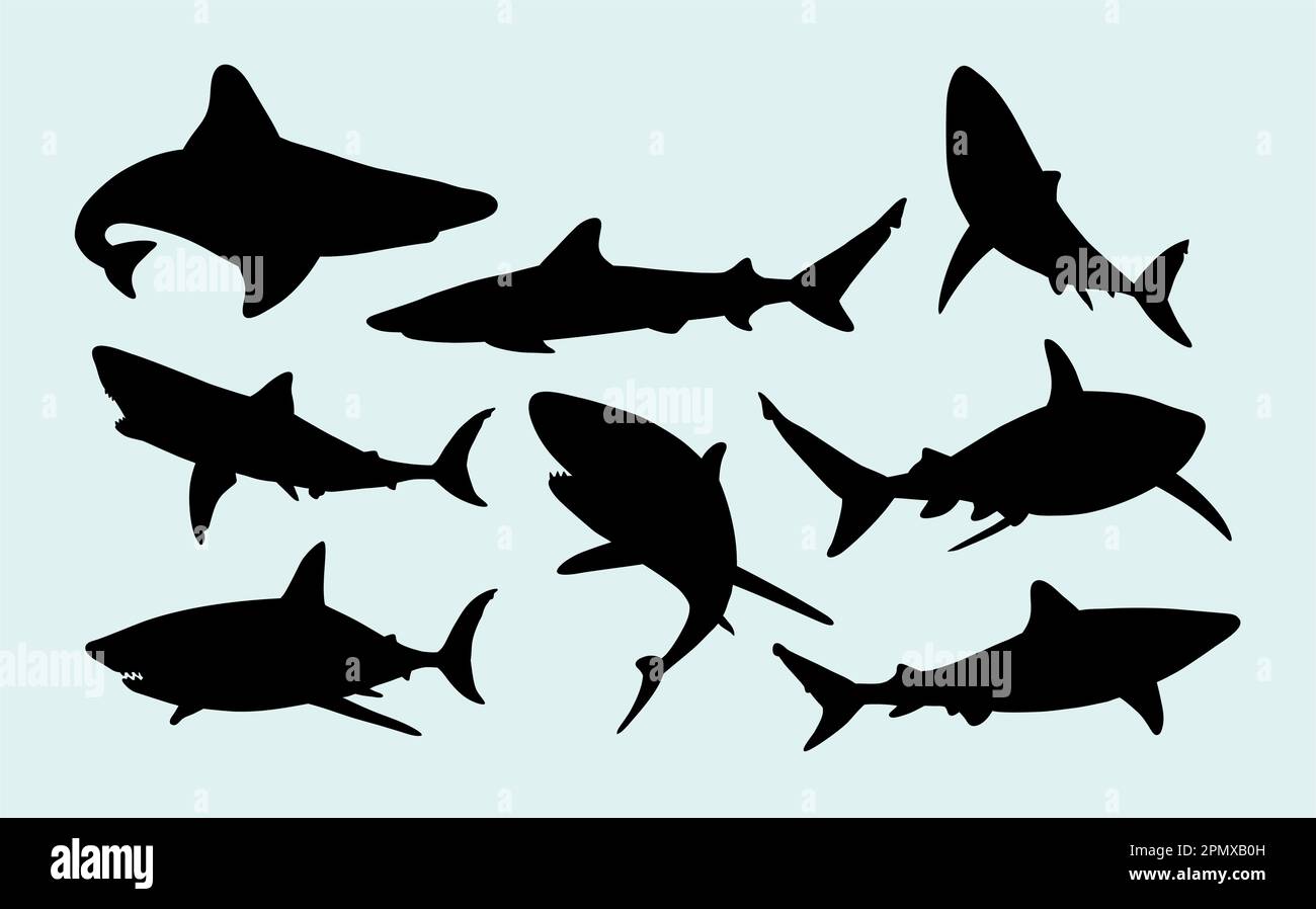 Silhouette d'animal marin sauvage de requin Illustration de Vecteur