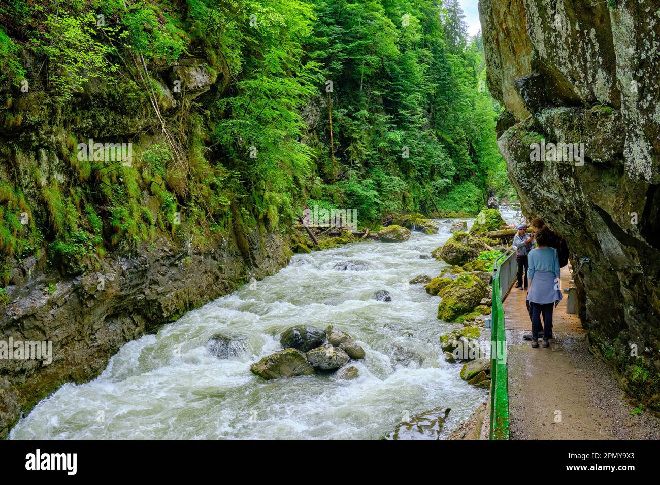Oberstdorf, Bavière, Allemagne - 10 juin 2022: Le Breitachklamm, une gorge du ruisseau Breitach dans la région haute-Allgaeu. Banque D'Images