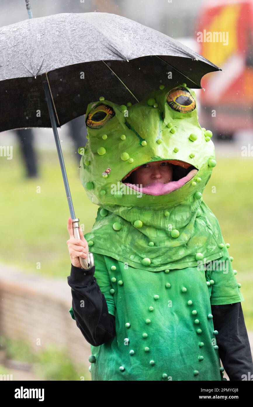 Costume de grenouille sous la pluie à l'extinction rébellion protestation Berlin 15 avril 2023. Des manifestants, dont des membres de la rébellion d'extinction, ont défilé du centre Bayer AG Pharmaceuticals (centre du nord-est de Berlin) au ministère fédéral de l'alimentation et de l'agriculture dans le centre de Berlin. A l'extérieur du ministère, une « ie-in », de manifestants habillés comme des animaux, a eu lieu et a vu l'arrivée de la « Brigade de la rébellion rouge » de la rébellion d'extinction. Berlin Allemagne. Image crédit garyroberts/worldwidefeatures.com avril 2023. Des manifestants, dont des membres de la rébellion des extinction, ont défilé de la Bayer AG Pharmaceut Banque D'Images