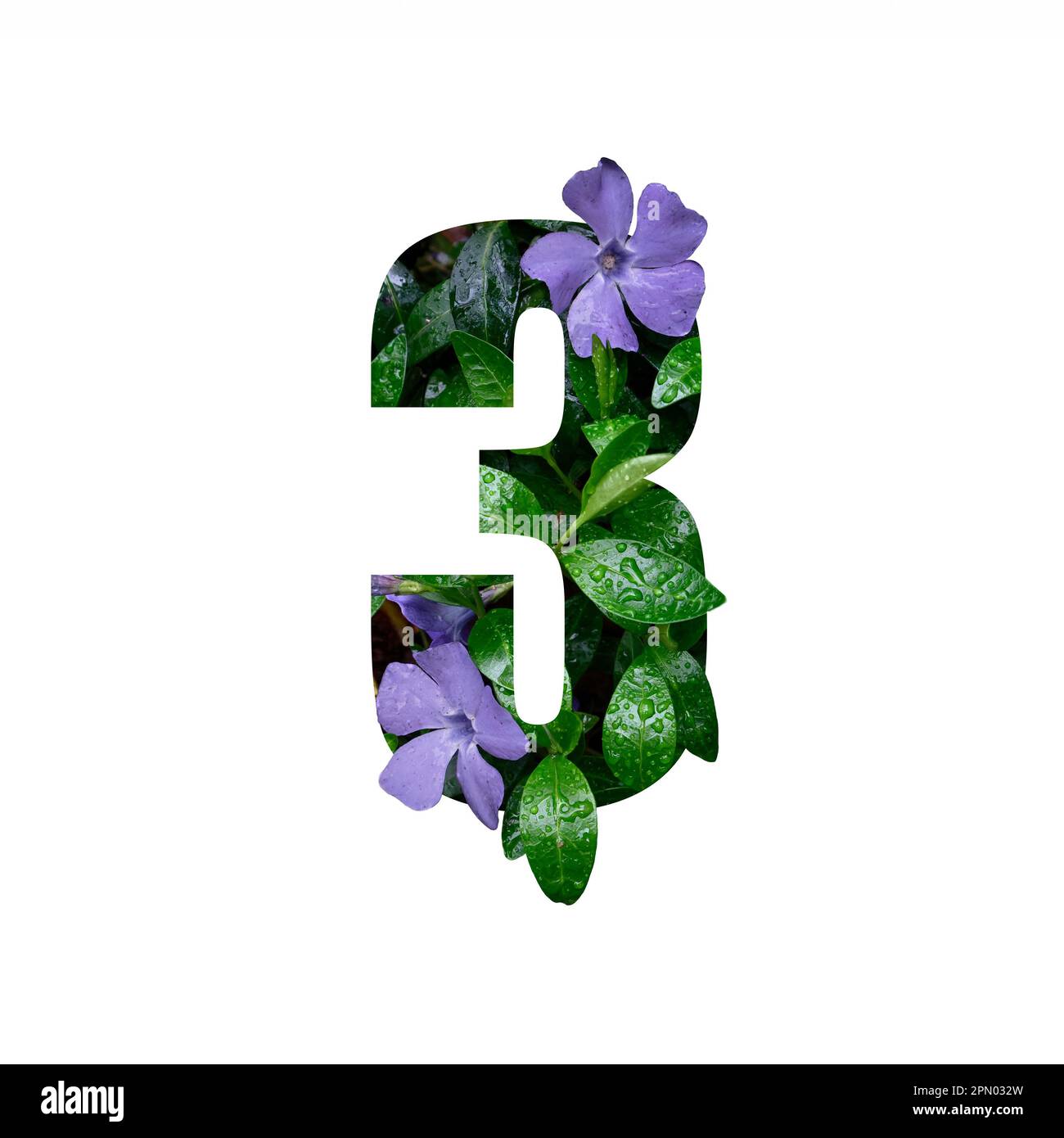 Numéro créatif 3 trois fait de fleurs fraîches avec gouttes de pluie. Belle flore numéro pour