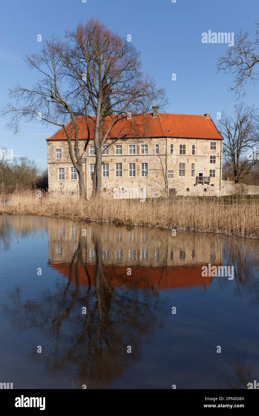 Château de Luedinghausen, Luedinghausen, Muensterland, Rhénanie-du-Nord-Westphalie, Allemagne Banque D'Images