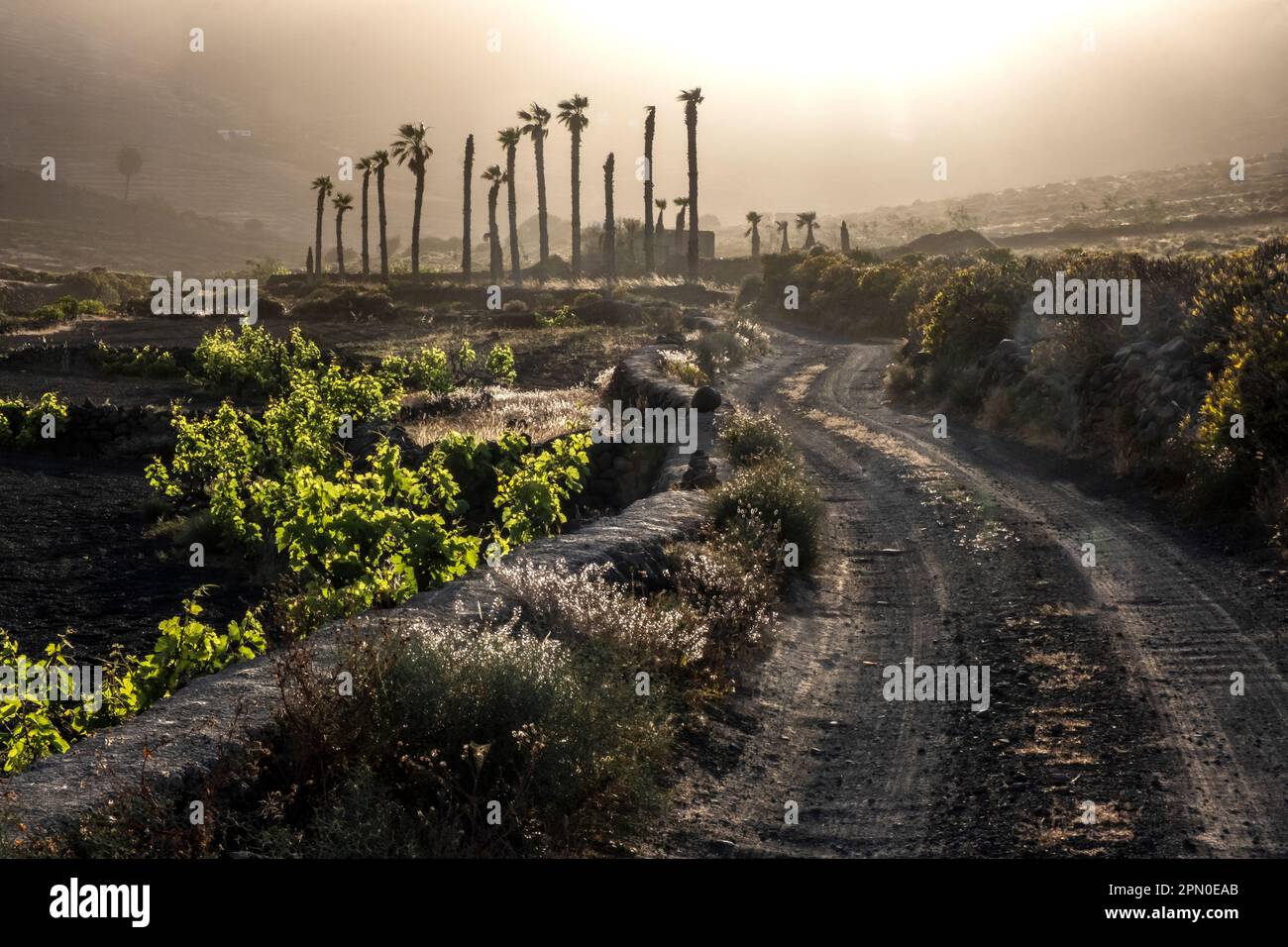 Une route de terre à travers une ferme dans le Barranco de Chafariz, Lanzarote, îles Canaries, Espagne Banque D'Images