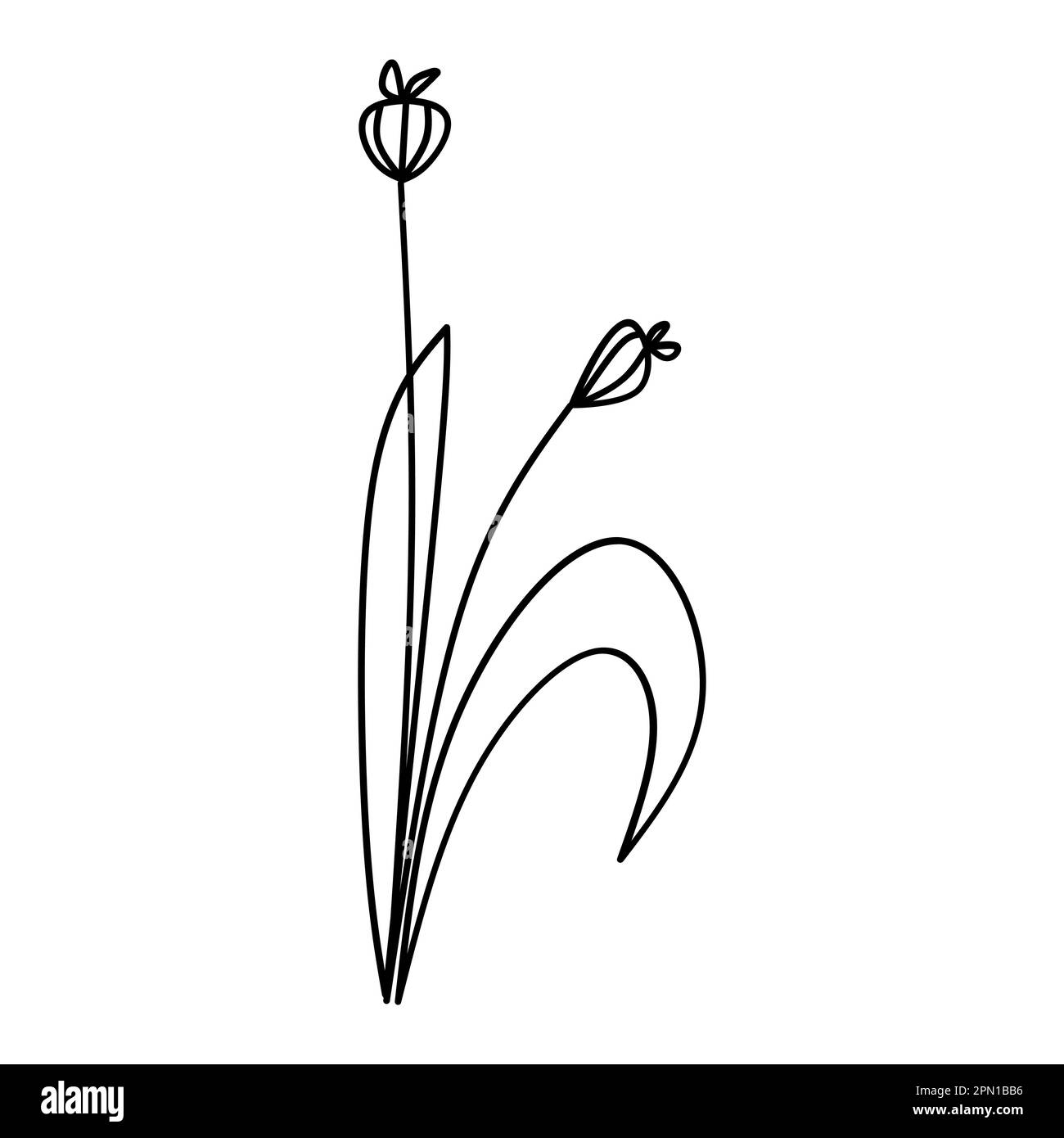 Adorable fleur botanique fleur vecteur illustration contour dessin à la main style design Illustration de Vecteur