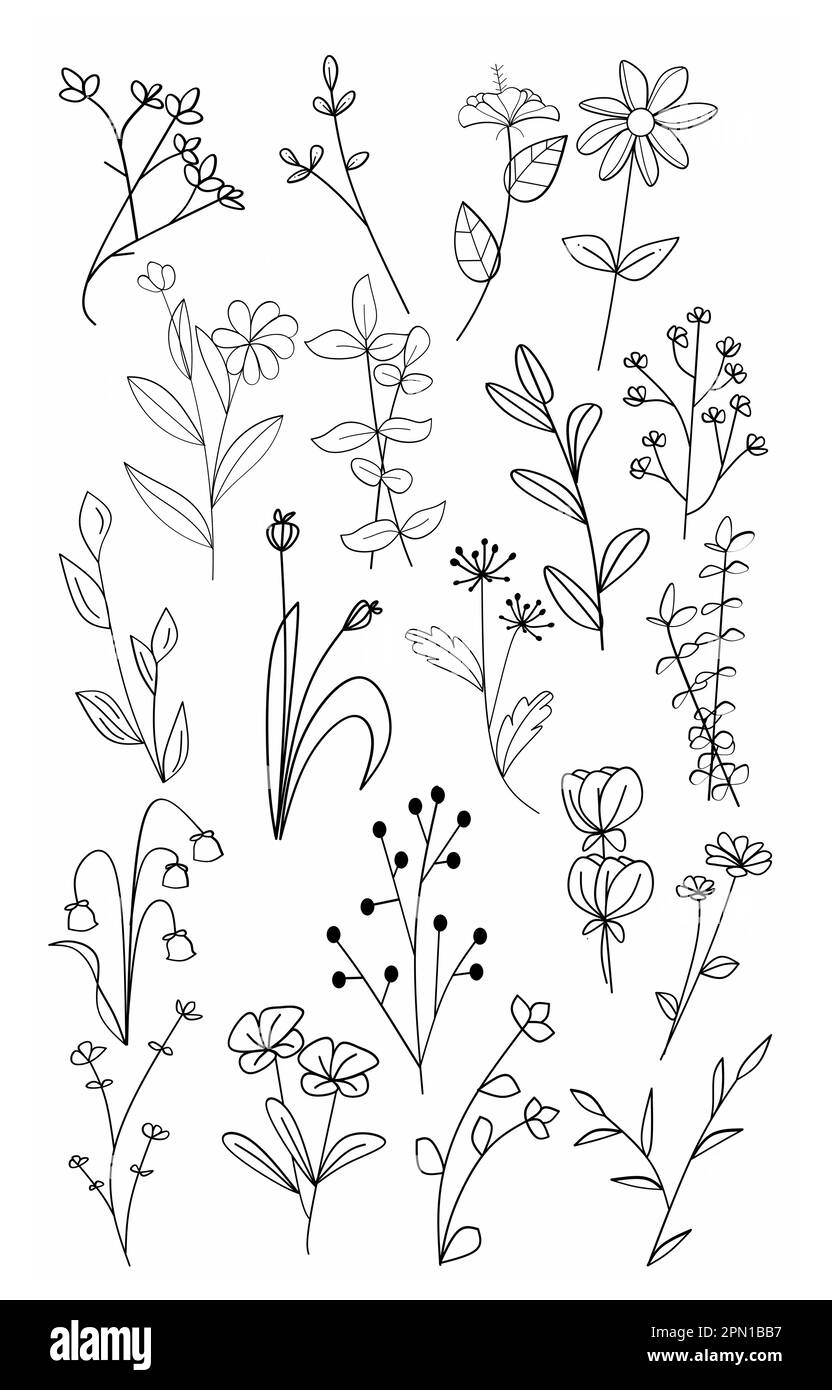 Ensemble de branches florales et de feuilles minimalistes pour logo ou tatouage. Fines herbes de mariage dessinées à la main, élégantes fleurs sauvages. Dessin dessin au trait minimal pour l'impression, Illustration de Vecteur