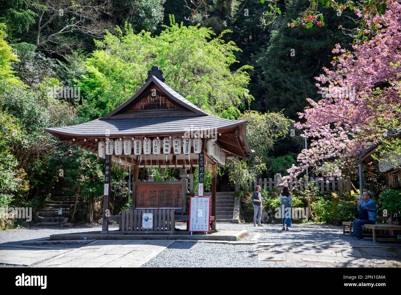 Kyoto Japon avril 2023, le sanctuaire d'Otoyo Jinja qui a des statues de souris protégeant le sanctuaire réputé pour accueillir le Dieu de jumelage, Kyoto, Japon Banque D'Images