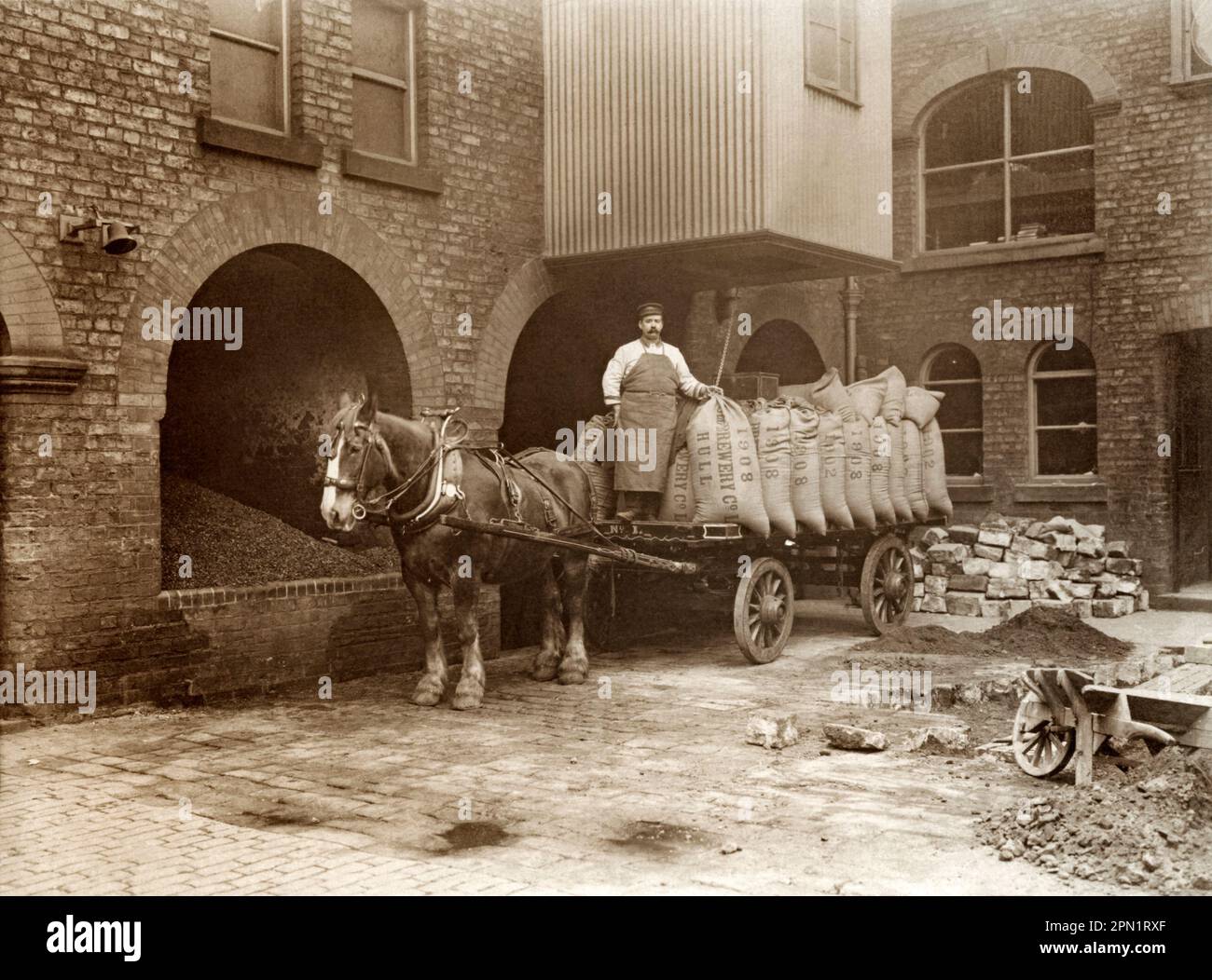 Un cheval et une charrette de la Hull Brewery Company à la brasserie de Silvester Street, Kingston upon Hull, East Yorkshire, Angleterre, Royaume-Uni vers 1910. Le conducteur se tient debout sur une rigole ou une rally à quatre roues plates. Il est chargé de sacs de jute contenant du houblon ou de l'orge. En 1887, la Hull Brewery Company Limited a été créée et, en 1890, la compagnie possédait 160 maisons publiques autorisées – une photographie victorienne/édouardienne d'époque. Banque D'Images