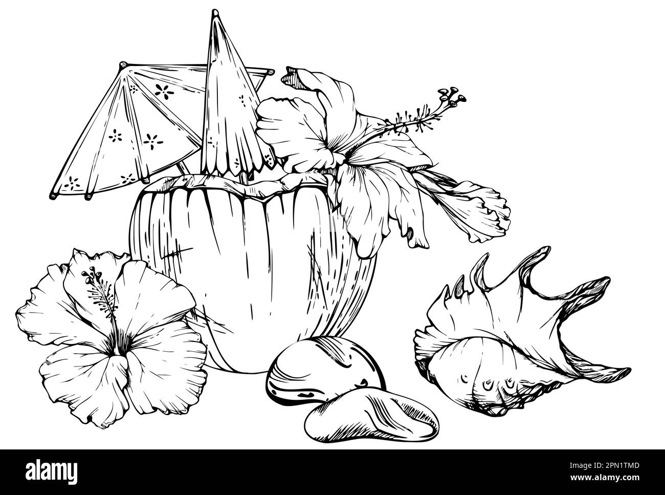 Composition d'encre vectorielle dessinée à la main. Cocktail de noix de coco avec parasols en papier, fleurs d'hibiscus. Isolé sur fond blanc. Décoration murale, mariage Illustration de Vecteur