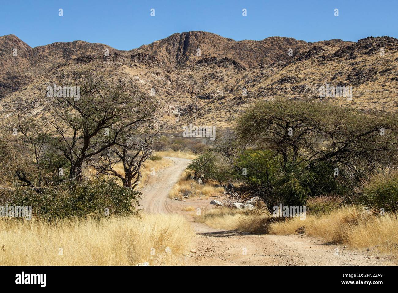 Une donga ou une vallée sèche, avec un lit de rivière sec au fond des montagnes en Namibie Banque D'Images