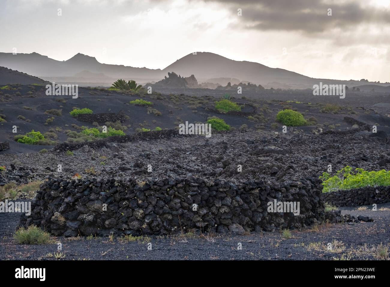 Paysages volcaniques au parc national de Timanfaya, Lanzarote, îles Canaries, Espagne Banque D'Images