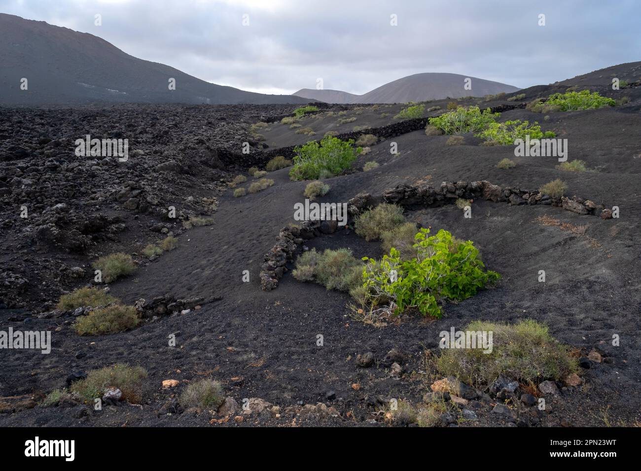 Paysages volcaniques au parc national de Timanfaya, Lanzarote, îles Canaries, Espagne Banque D'Images