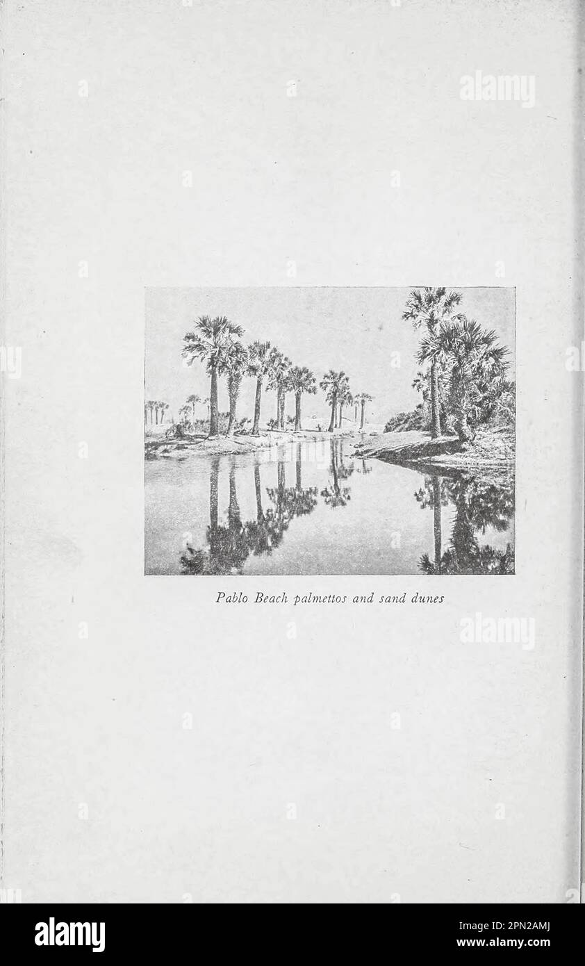 Pablo Beach Palmettos and Sand Dunes du livre ' Highways and byways of Florida; Human interest information for Travelers in Florida ' by Clifton Johnson, 1865-1940 Date de publication 1918 Éditeur New York, The Macmillan Company; Banque D'Images