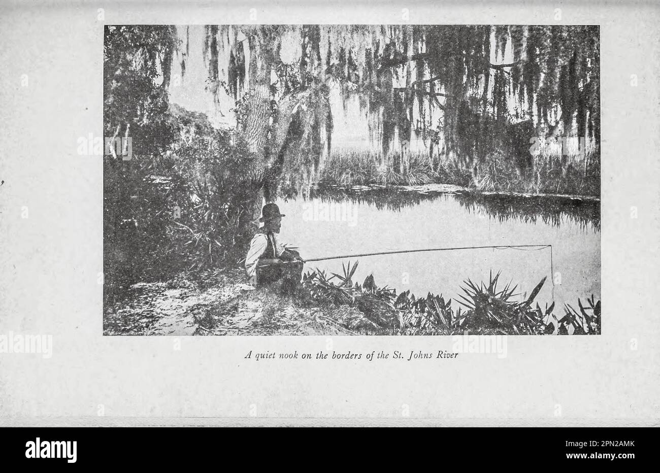 Une NOOK tranquille aux frontières de la rue Johns River d'après le livre ' Highways and byways of Florida; Human interest information for Travelers in Florida ' by Clifton Johnson, 1865-1940 Date de publication 1918 Éditeur New York, The Macmillan Company; Banque D'Images