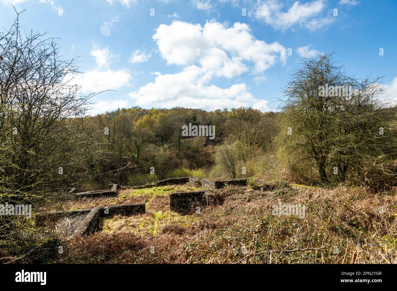 Darkhill Iron Works, berceau de la fabrication de l'acier indistrial, Forest of Dean, Gloucestershire. ROYAUME-UNI Banque D'Images