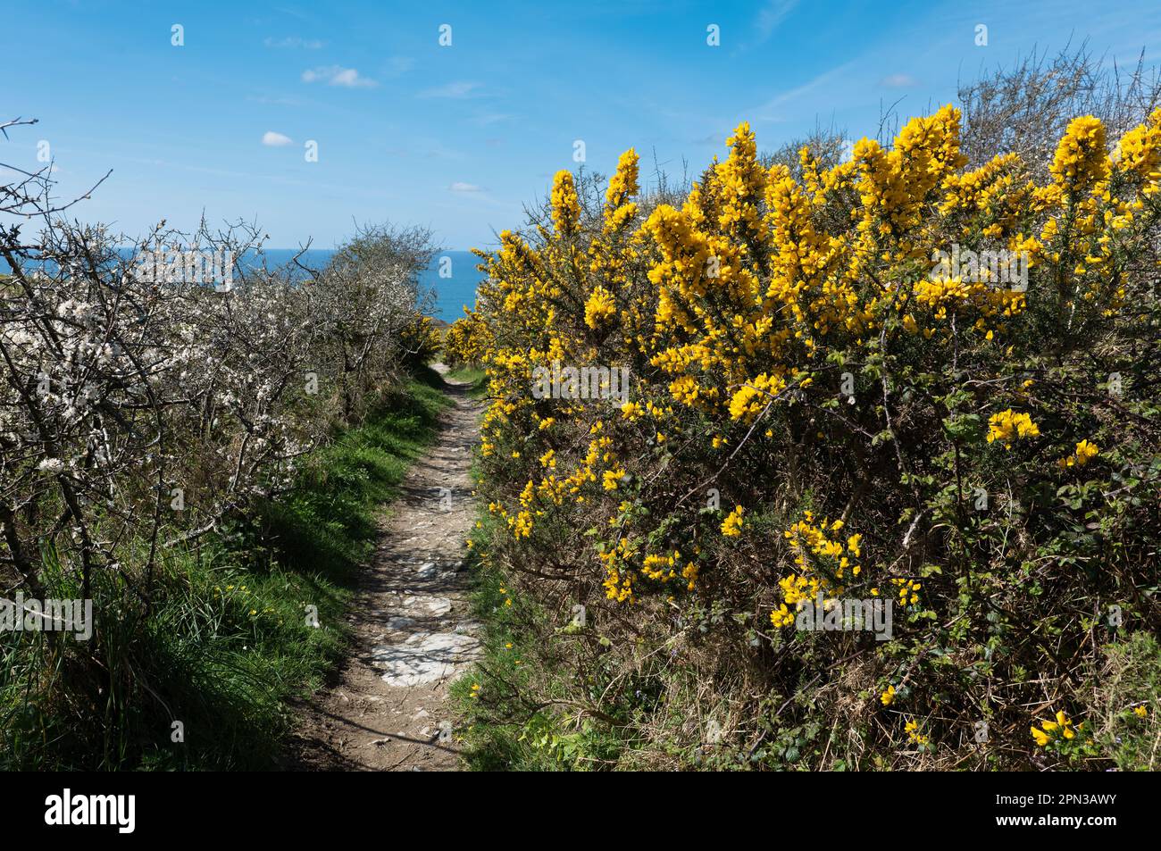 Sentier côtier de Tragardock Banque D'Images