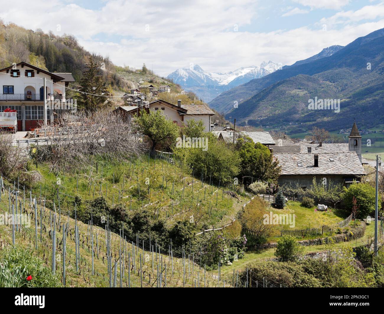 Scène rurale avec vignoble, maisons et tour d'église, près de nus dans la Vallée d'Aoste, Italie. alpes enneigées en arrière-plan Banque D'Images