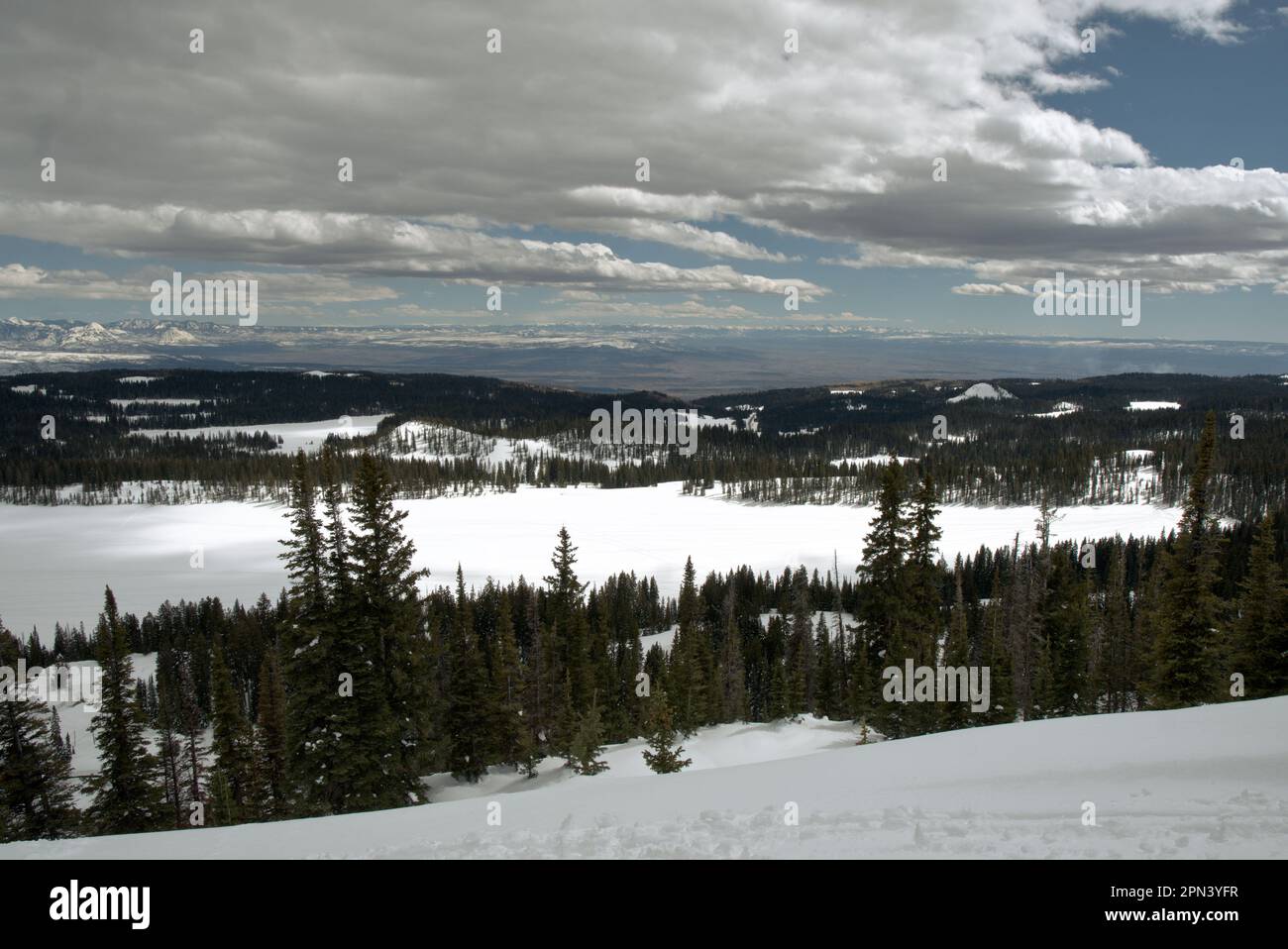 Vue depuis la County Line vista à Grand Mesa, Colorado Banque D'Images