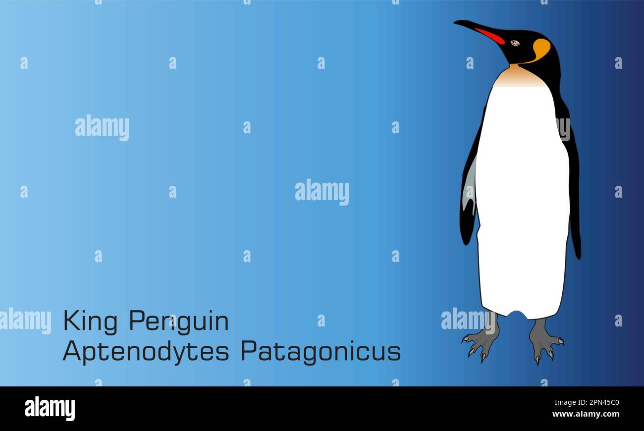 Roi Penguin - Illustration, joli manchot empereur debout Illustration de Vecteur