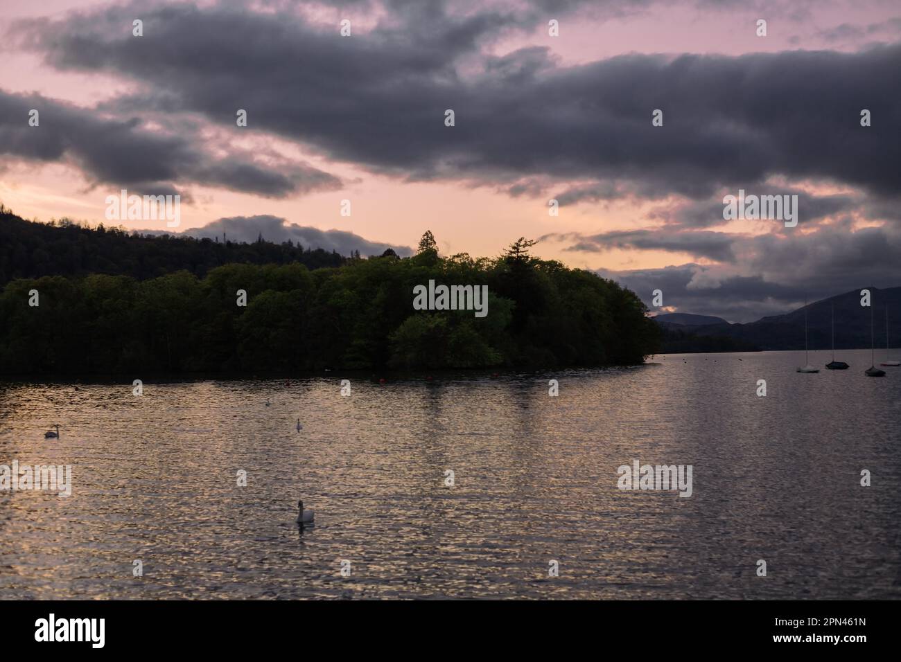 coucher de soleil sur la côte du lac. Paysage naturel. Nature de l'Europe du Nord. Banque D'Images
