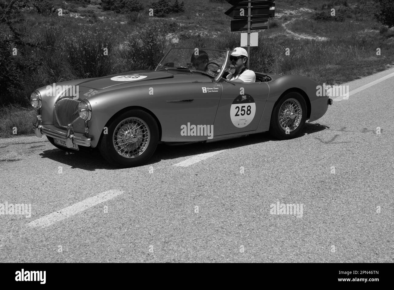URBINO, ITALIE - 16 - 2022 JUIN : AUSTIN HEALEY 100 4 1953 sur une vieille voiture de course en rallye mille Miglia 2022 la célèbre course historique italienne Banque D'Images