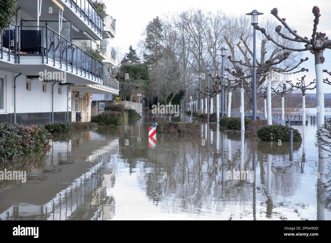 DAS erste Jahreshochwasser am Rhein nahe des Pegelhöchstandes. Königswinter, 04.02.2021 Banque D'Images