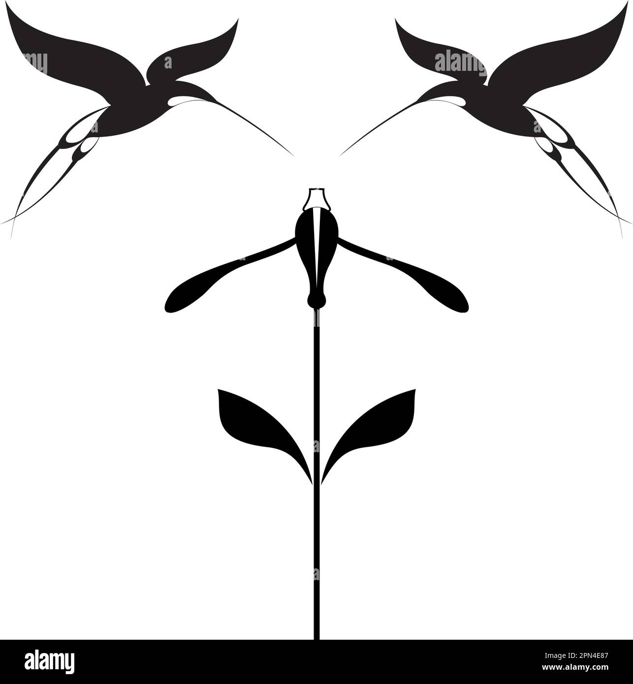 Illustration d'oiseaux et de fleurs en noir sur blanc. Illustration originale de fleurs et d'colibris décoratifs pour le design Illustration de Vecteur