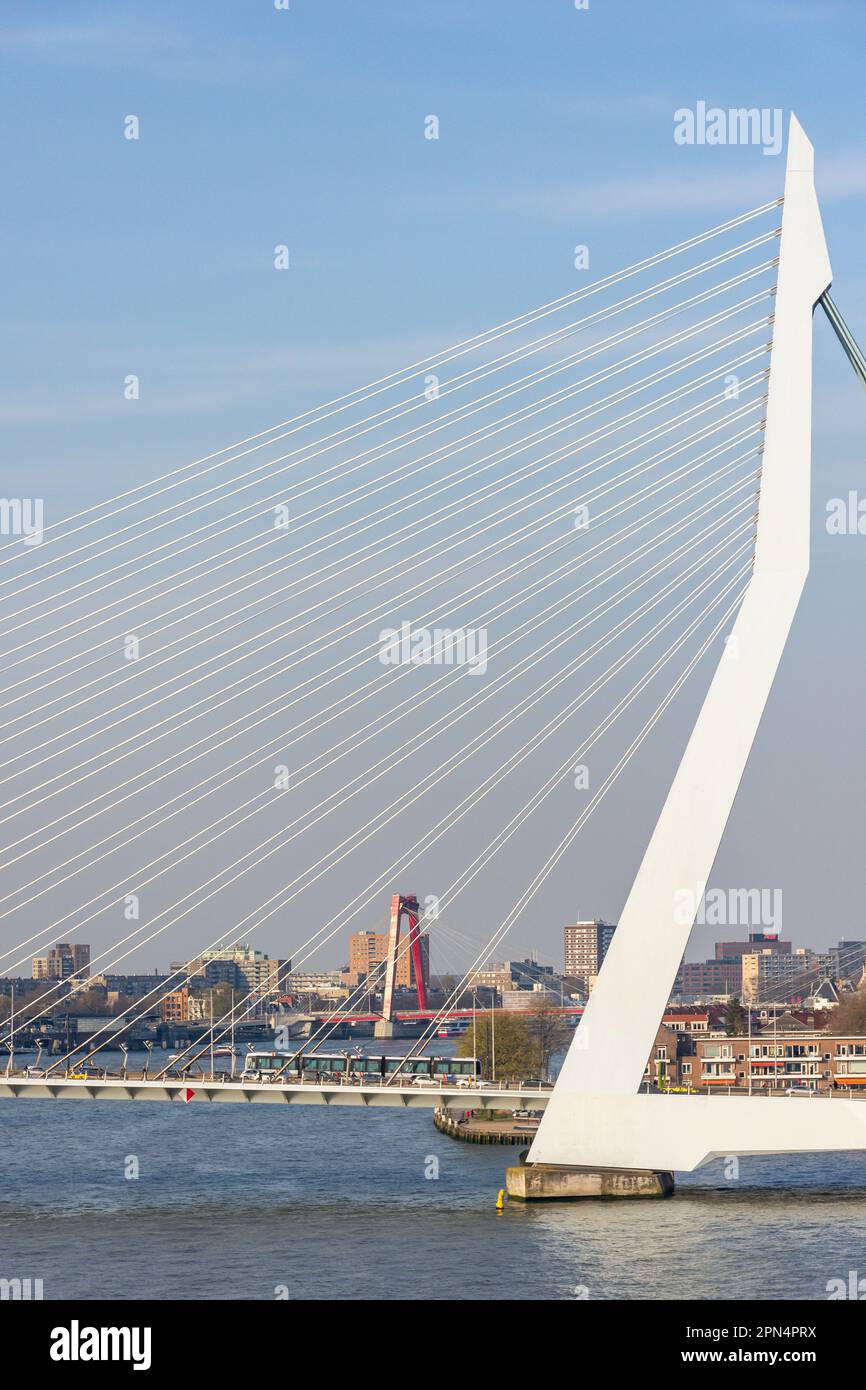 Pont suspendu d'Erasmusbrug au-dessus de la rivière Nieuwe Mass, Rotterdam, province de la Hollande-Sud, Royaume des pays-Bas Banque D'Images