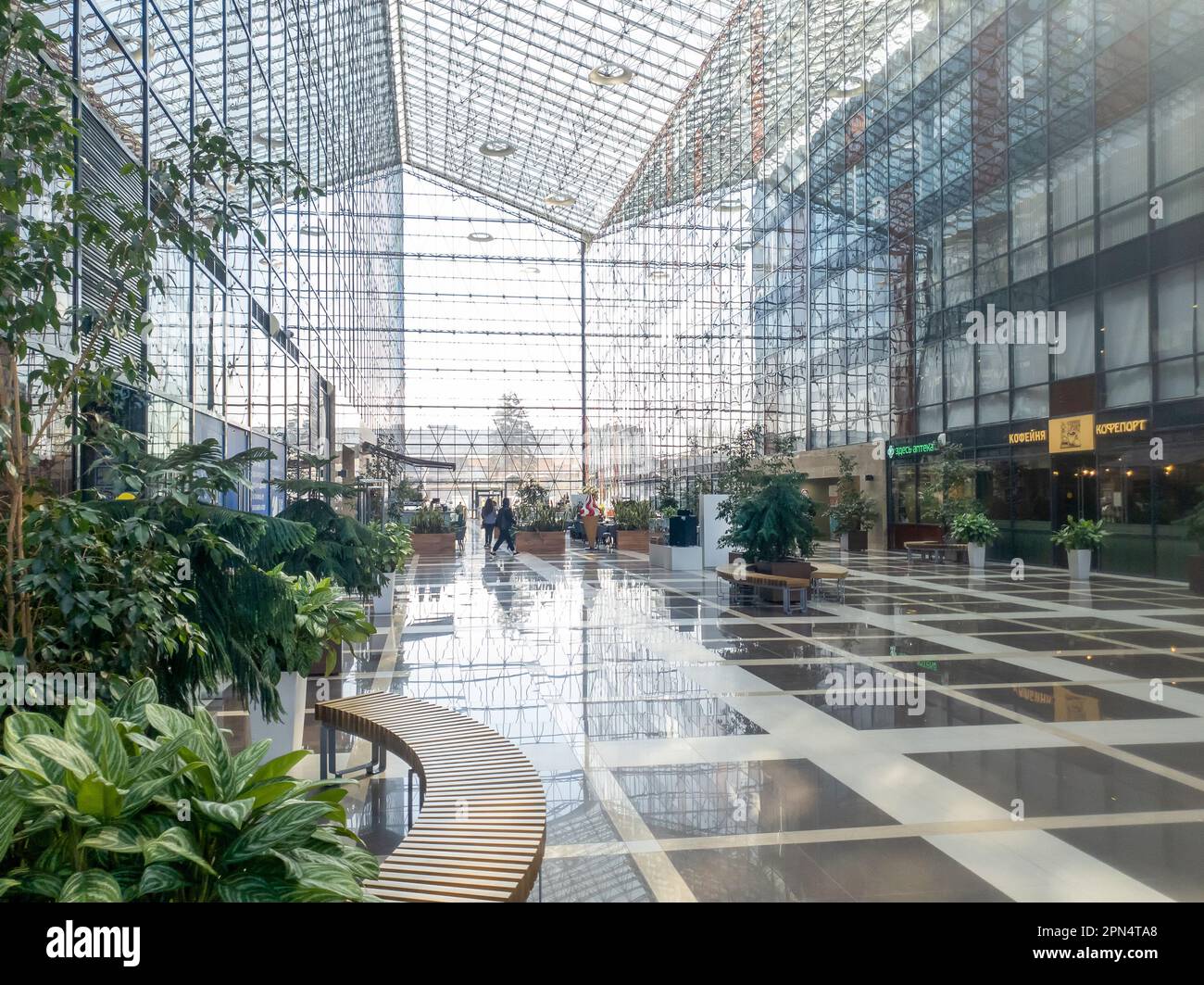 04-14-2023 Moscou Russie. Intérieur du bureau du centre d'affaires à Moscou 'Sirius' avec cher (exotique pour la Russie) araucaria petits arbres et Banque D'Images