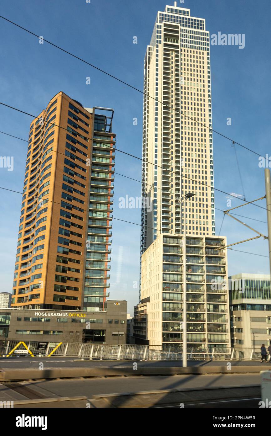 Immeubles d'appartements en hauteur au bord de la rivière, Rotterdam, province de la Hollande-Sud, Royaume des pays-Bas Banque D'Images