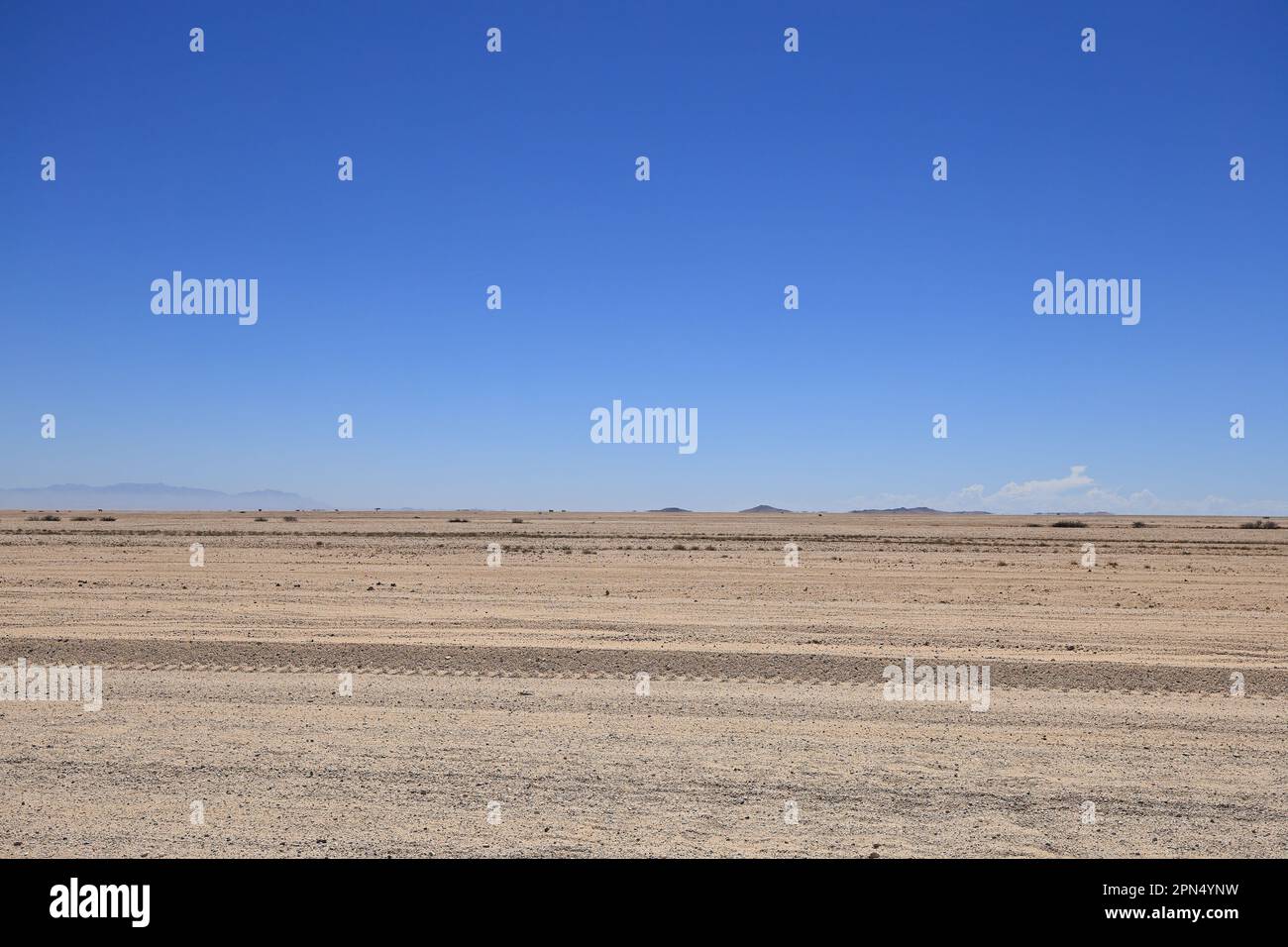 Vue panoramique sur un paysage désertique en Namibie Banque D'Images