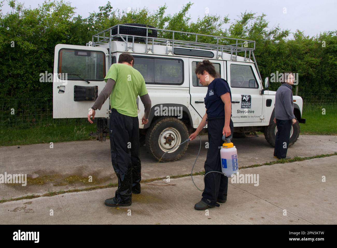 Schéma de vaccination contre la tuberculose bovine par le blaireau eurasien (Meles meles), personnel de Wildlife Trust pulvérisé de désinfectant, Shropshire, Angleterre Banque D'Images