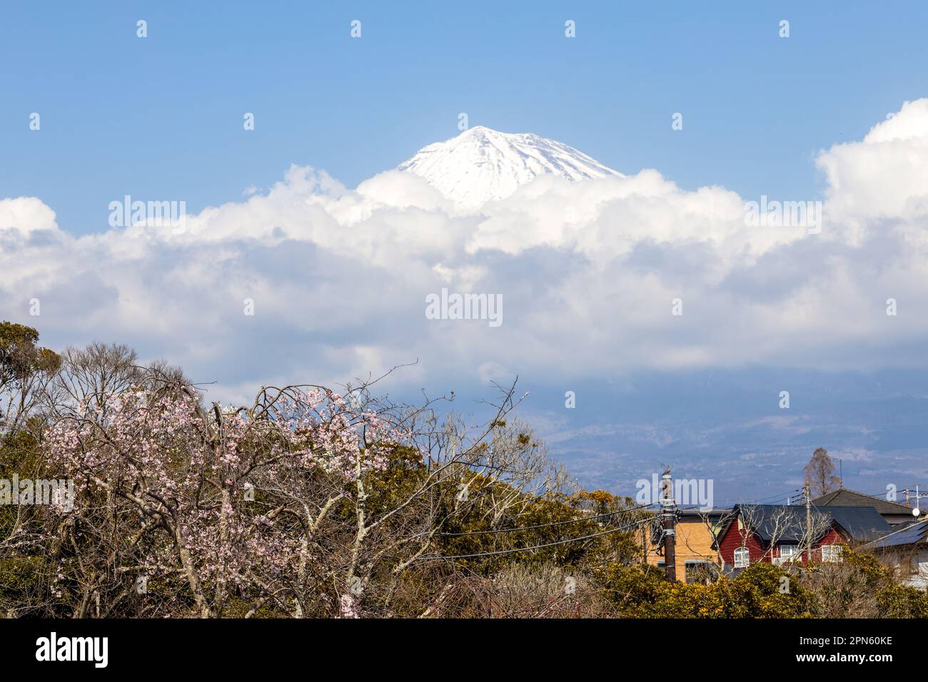 Fujinomiya, Shizuoka, Japon, vue du Mont Fuji au printemps Banque D'Images
