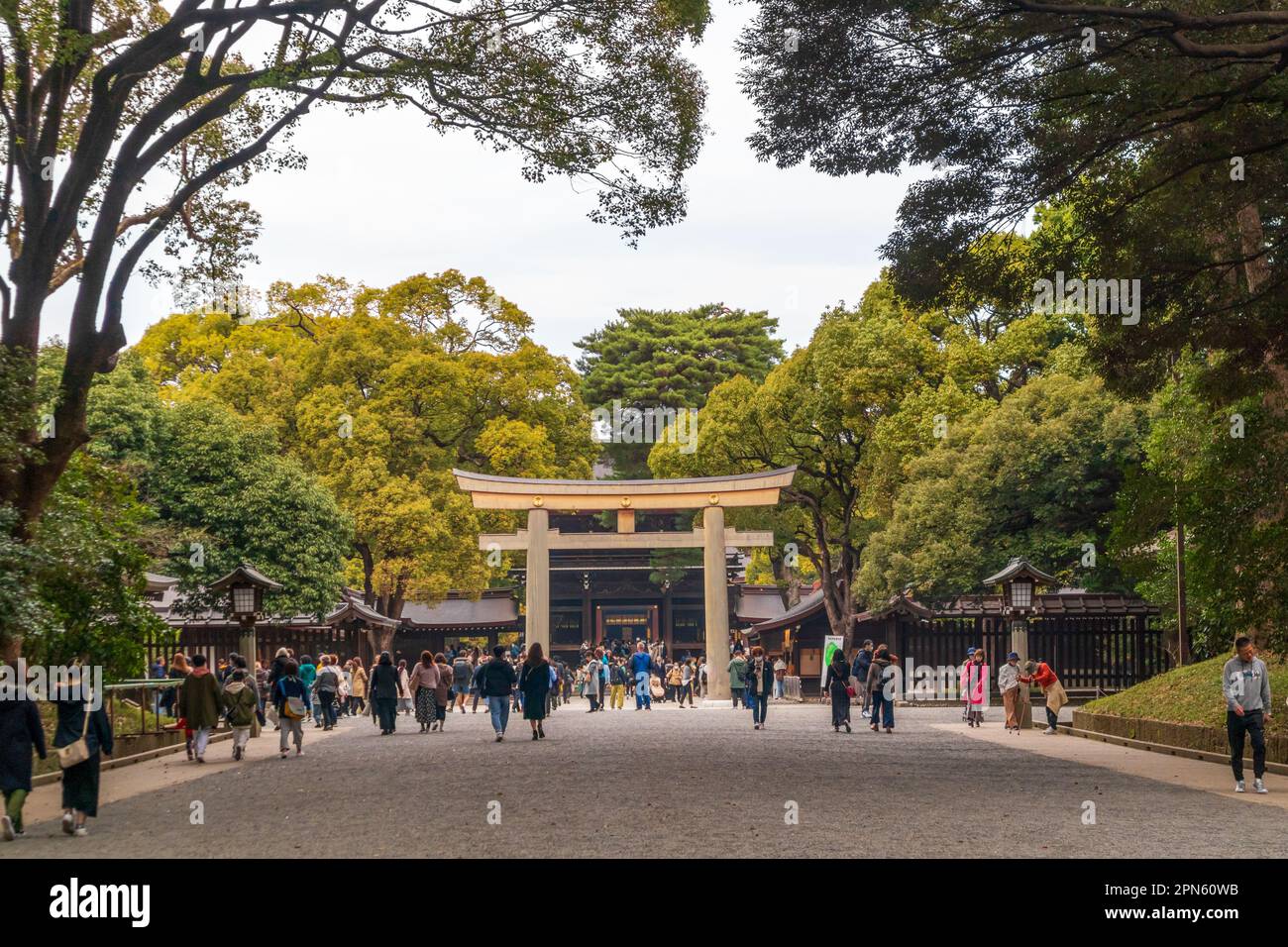 Tokyo, Japon - 21 mars 2023 : Meiji Jingu, temple shinto dédié aux ...