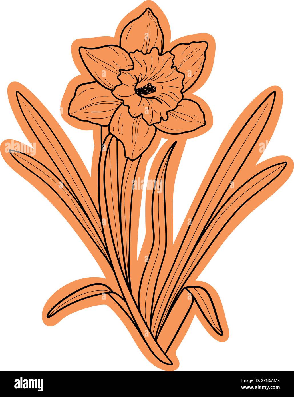 Icône représentant un vecteur floral orange narcissus. Il s'agit d'une illustration polyvalente conçue pour diverses utilisations. Utilisable pour les autocollants, les cartes, les mugs ou les sacs. Illustration de Vecteur