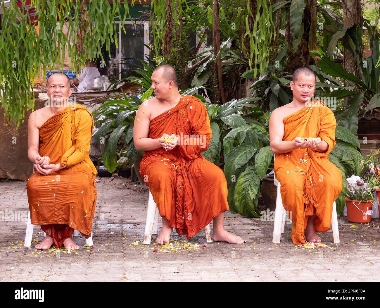 Ban Chang, Thaïlande - 16 avril 2023: 3 moines mouillés d'avoir de l'eau avec des pétales de fleur sur eux-mêmes pendant la célébration de Songkran, nouvel Ye bouddhiste Banque D'Images