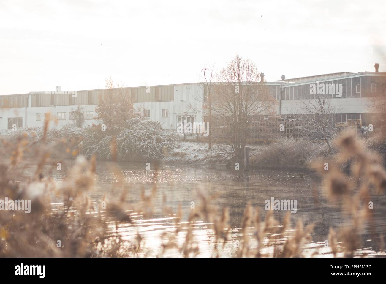 Bâtiment industriel à l'atmosphère enveloppé de brouillard au bord de l'eau, éclairé par une douce lumière d'automne Banque D'Images