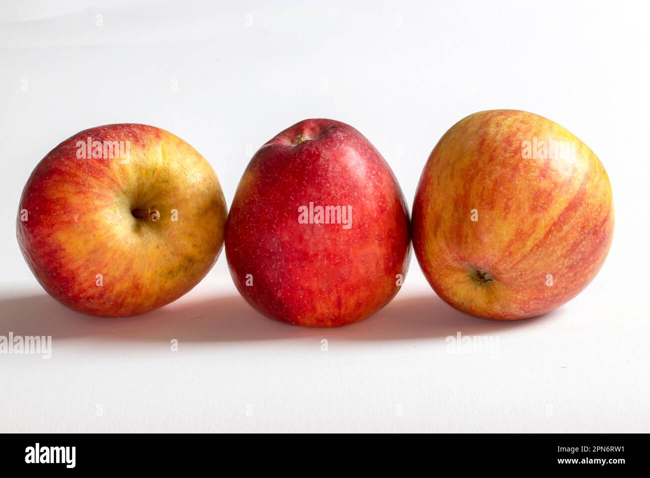 Pommes bicolores en rangée sur fond blanc Banque D'Images
