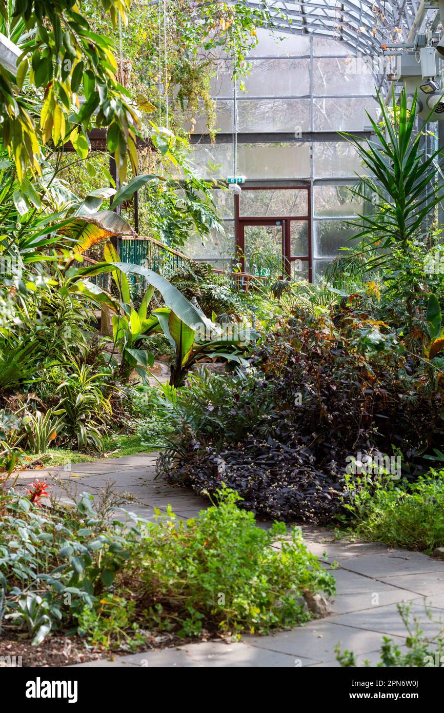 Dunfermline Glass House dans le parc Pittencieff, Fife. Banque D'Images