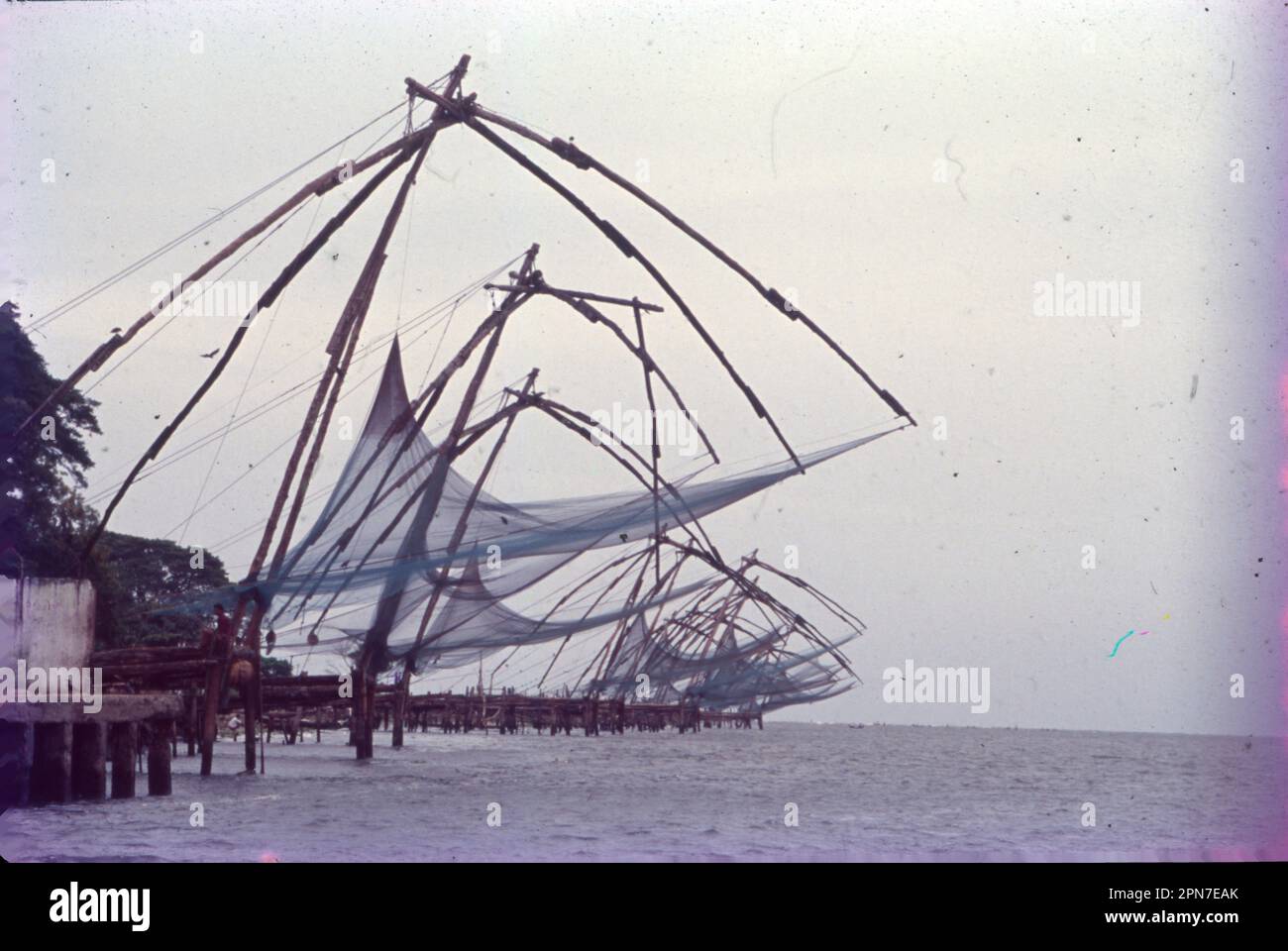 Les filets de pêche chinois sont un type de filet de levage fixe en Inde et en Indonésie. Ce sont des filets de pêche qui sont des installations terrestres fixes pour la pêche. À une distance de 13 km de la jonction d'Ernakulam, les filets de pêche chinois sont un type de filets de pêche qui ont parsemé l'embouchure du port à fort Kochi.les filets de pêche chinois à fort Kochi est une attraction incontournable à Kerala. Il s'agit d'installations terrestres fixes, utilisées pour la pêche selon une méthode unique. Banque D'Images