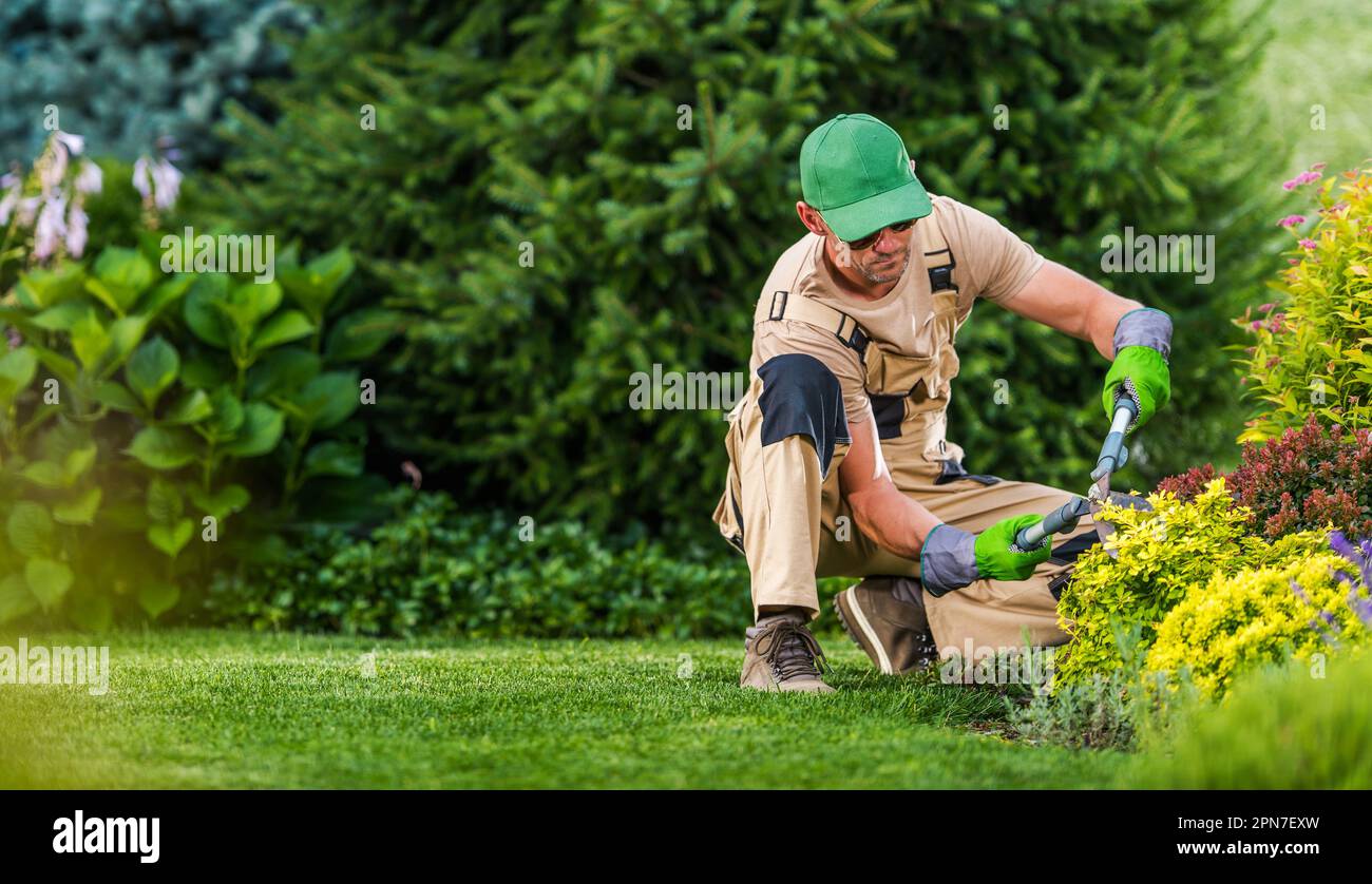 Paysagiste caucasien professionnel effectuant l'entretien saisonnier du jardin. Arrière-plan vert avec espace de copie sur la gauche. Banque D'Images
