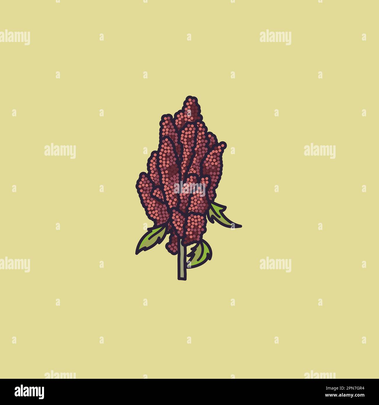 Illustration du vecteur de la plante du quinoa pour la Journée du quinoa sur 16 janvier Illustration de Vecteur